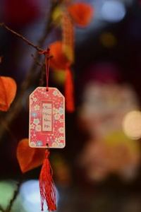 bầu cua trực tuyến Debet